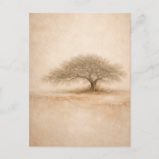 Ancient Oak | Southern Oak Tree Art | Postcard ポストカード (正面)