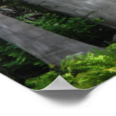 Ancient Olmec Head 2 ポスター (角)