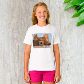 Ancient Roman Historic Architecture Tシャツ