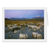 「Ancient Watermark」 (正面横)