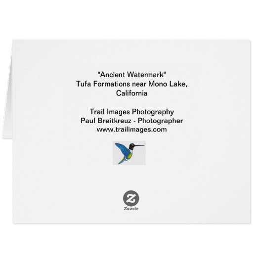 「Ancient Watermark」 (裏面横)