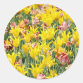 And Life Goes On  ラウンドシール (正面)