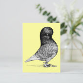 Andalusianタンブラー ポストカード (スタンド正面)