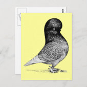 Andalusianタンブラー ポストカード (正面/裏面)