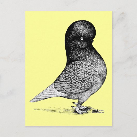 Andalusianタンブラー ポストカード (正面)