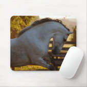 Andalusianロバの力 マウスパッド (マウス)