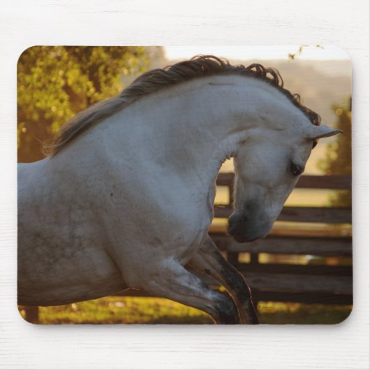 Andalusianロバの力 マウスパッド (正面)