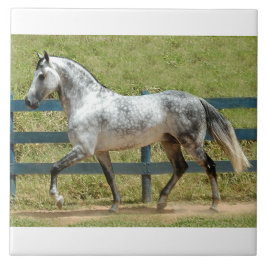 Andalusian種馬の小走りに走ること タイル