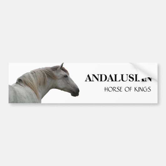 ANDALUSIAN馬2 バンパーステッカー (正面)