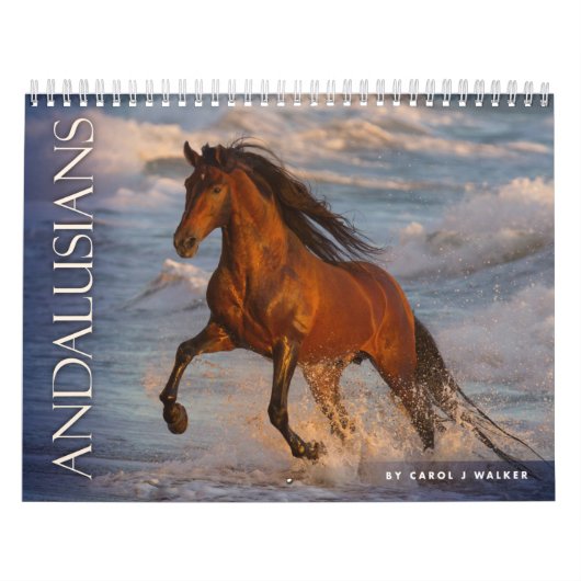 Andalusians by Carol J Walker Horse Calendar カレンダー (カバー)