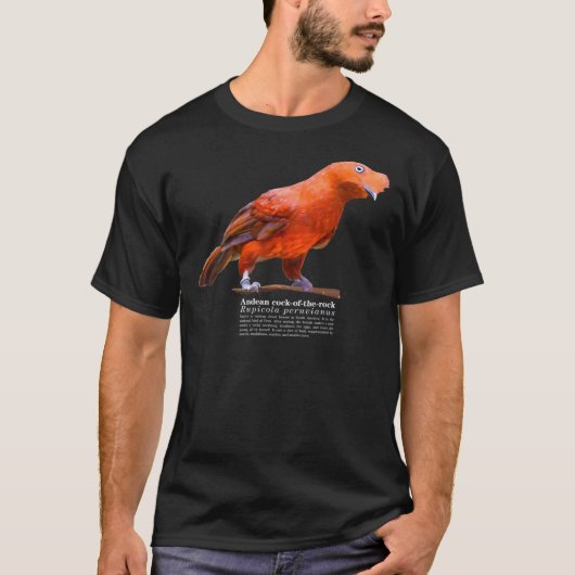 Andean cock-of-the-rock bird on the rocks Classic  Tシャツ (正面)