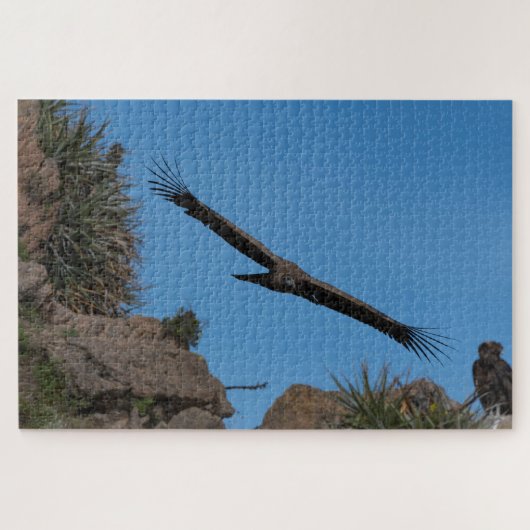 Andes condor in Colca Canyon, Peru ジグソーパズル (横)