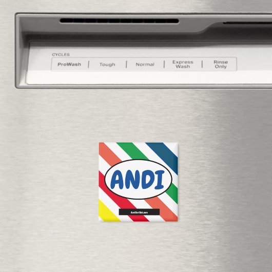 ANDIカラー磁石 マグネット (インサイチュ (食洗機))