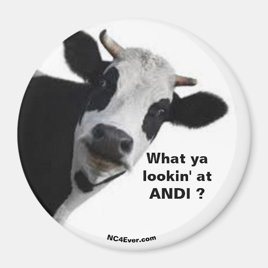 ANDI何を見てるの?おもしろい磁石 マグネット (正面)