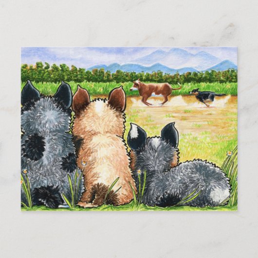 Andieによる最初のレッスン ポストカード (正面)