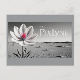 Andrew Goodchild Post Card ポストカード