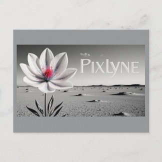 Andrew Goodchild Post Card ポストカード