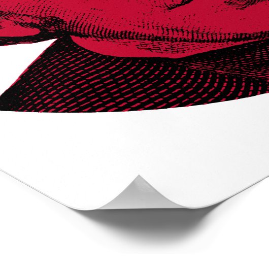 Andrew Jackson Red、White、Blue ポスター (角)