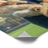 Andrew Tate Tigerのポスター ポスター (角)