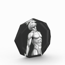 Android Anatomy: Octagonal Cyborg Acrylic Block フォトブロック
