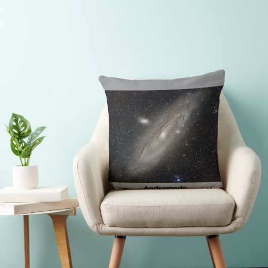 Andromeda Throw Pillow クッション (椅子)