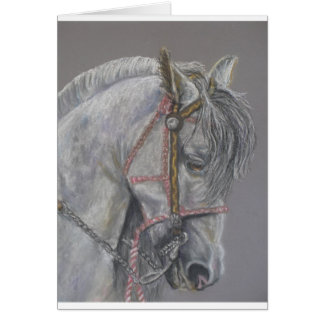 Andualusianの馬カード