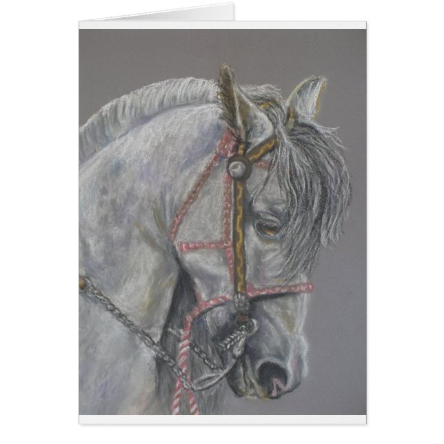 Andualusianの馬カード (正面)