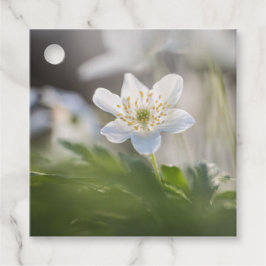 Anemone自然写真 フェイバータグ