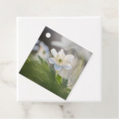 Anemone自然写真 フェイバータグ (インサイチュ)