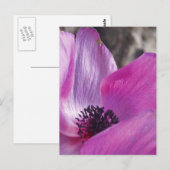 Anemone花びら葉書 ポストカード (正面/裏面)
