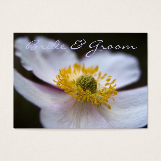 Anemone 日本の ・日付ミニカードの保存 (正面)
