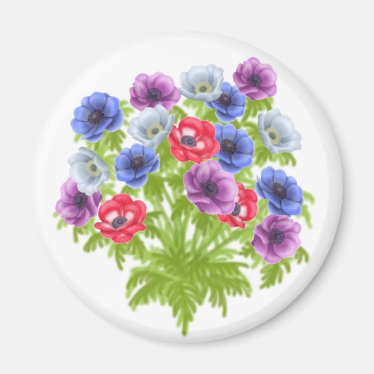 Anemone de Caen Gardenフラワーズマグネット マグネット (正面)
