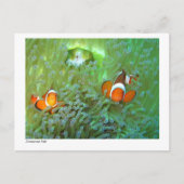 Anemone fish - 02 ポストカード (正面)