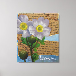 Anemone Stretched Canvas Print キャンバスプリント