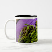 Anemonefishおよび大きいアネモネ ツートーンマグカップ (左)