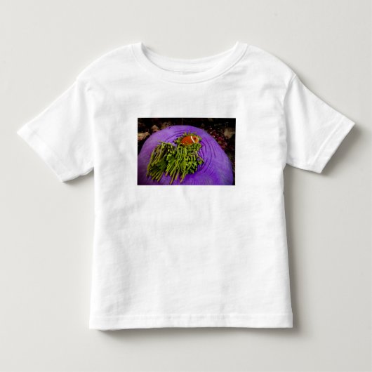 Anemonefishおよび大きいアネモネ トドラーTシャツ (正面)