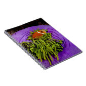 Anemonefishおよび大きいアネモネ ノートブック (右側)