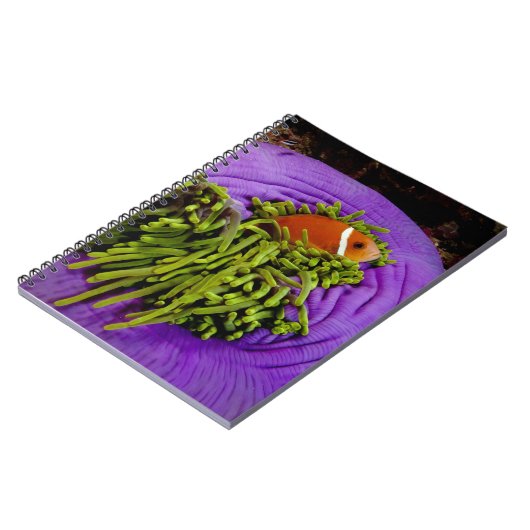 Anemonefishおよび大きいアネモネ ノートブック (左側)