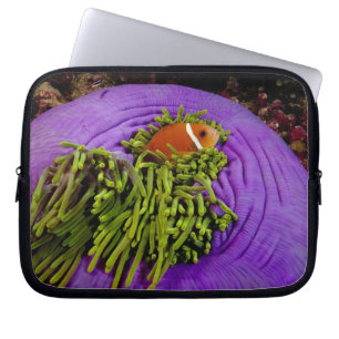 Anemonefishおよび大きいアネモネ ラップトップスリーブ