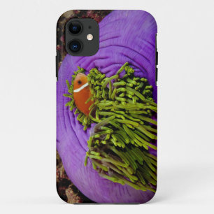 Anemonefishおよび大きいアネモネ iPhone 11 ケース