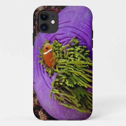 Anemonefishおよび大きいアネモネ Case-Mate iPhoneケース (裏面)