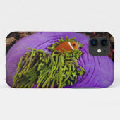 Anemonefishおよび大きいアネモネ Case-Mate iPhoneケース (裏面(横))