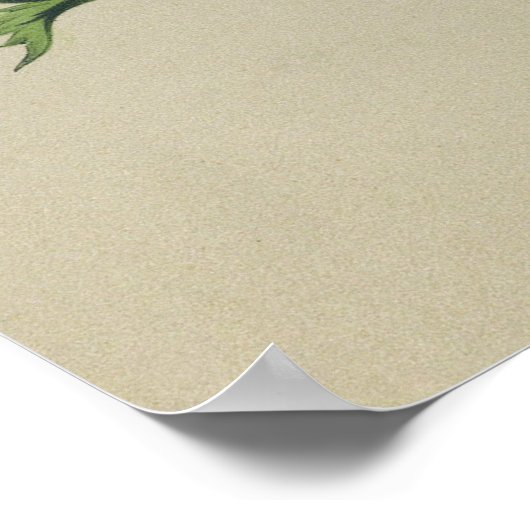 Anemonesポスター ポスター (角)