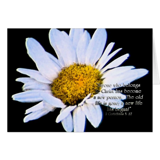 AnewlifehasbegunZazzle (正面横)