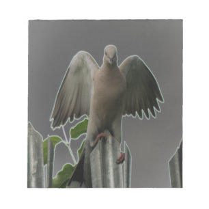 Angel 落ちた Doveメモ帳 ノートパッド