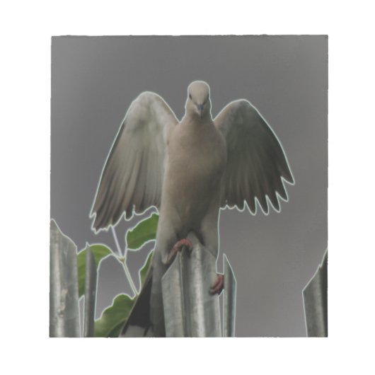 Angel 落ちた Doveメモ帳 ノートパッド (正面)