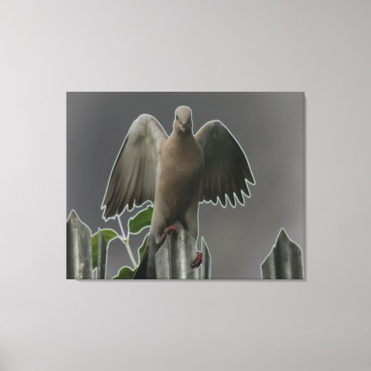 Angel 落ちた Dove Canvas Print キャンバスプリント (正面)