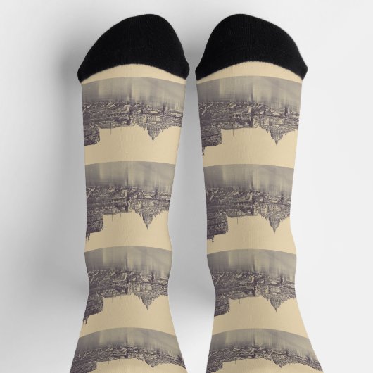 Angel castle and Vatican dome ソックス (上部)