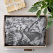 Ángel cementerio blanco y negro 薄葉紙 (ギフト)