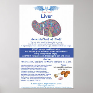 Angel Farms Liver Chart ポスター